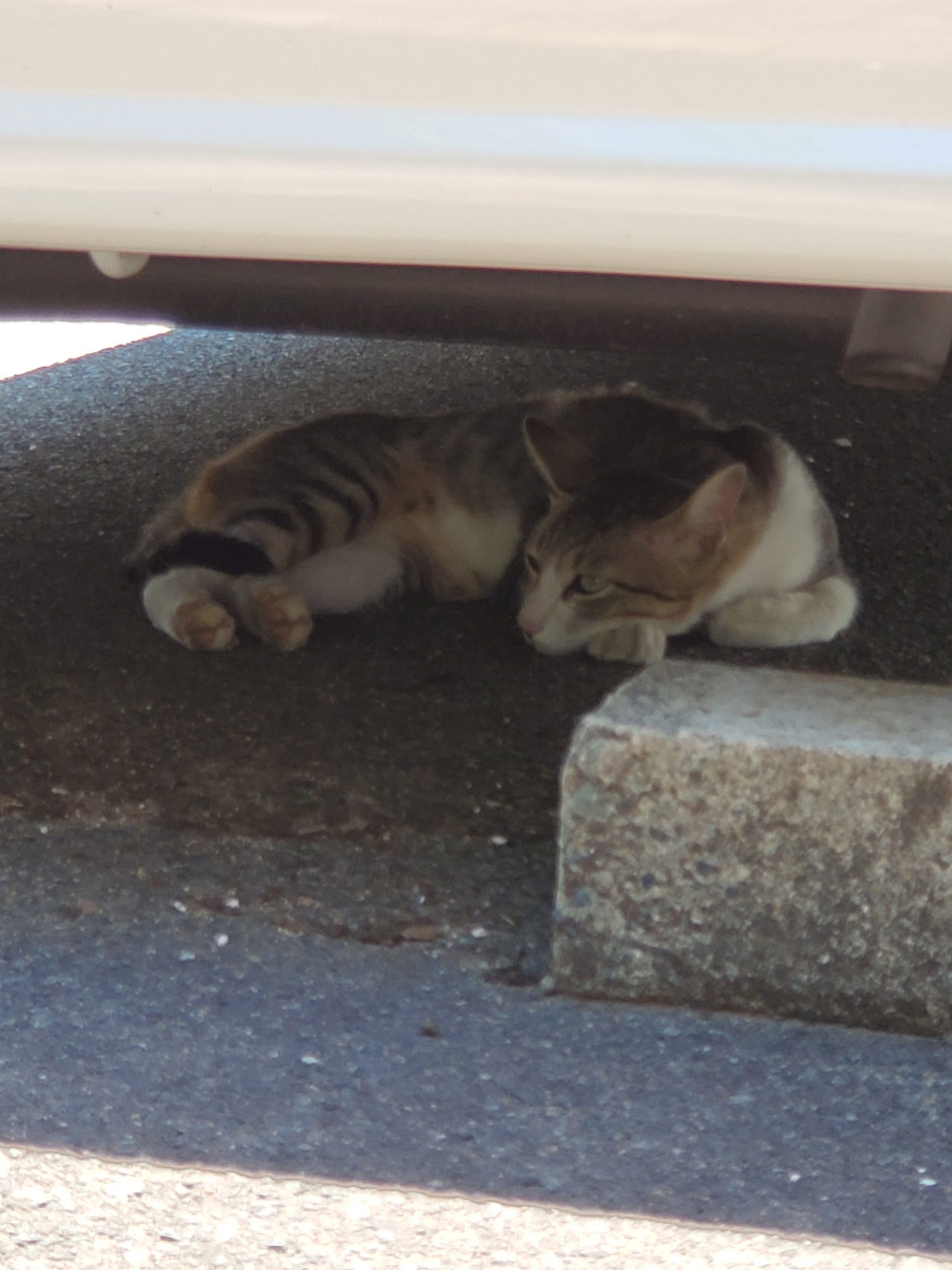暑くないんですか?