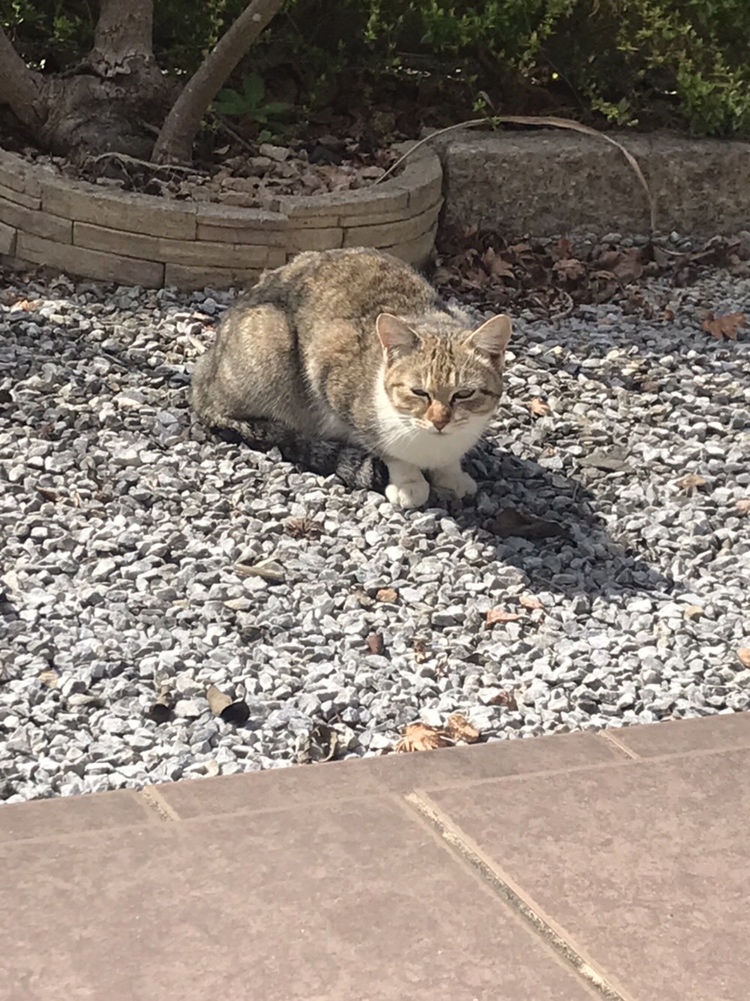 お客さん