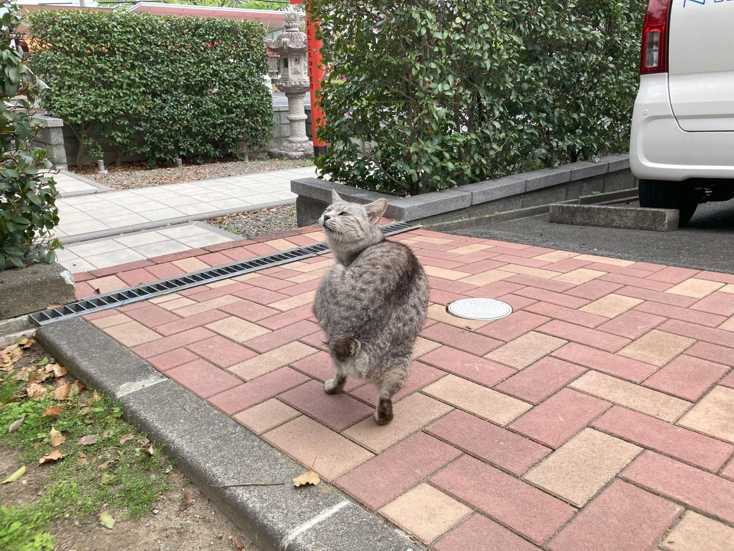 次女になりました
