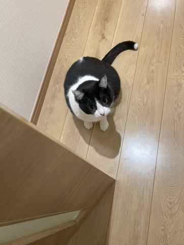 君はパワータイプ