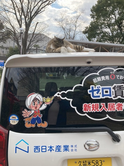 山本くんとアラジンくん