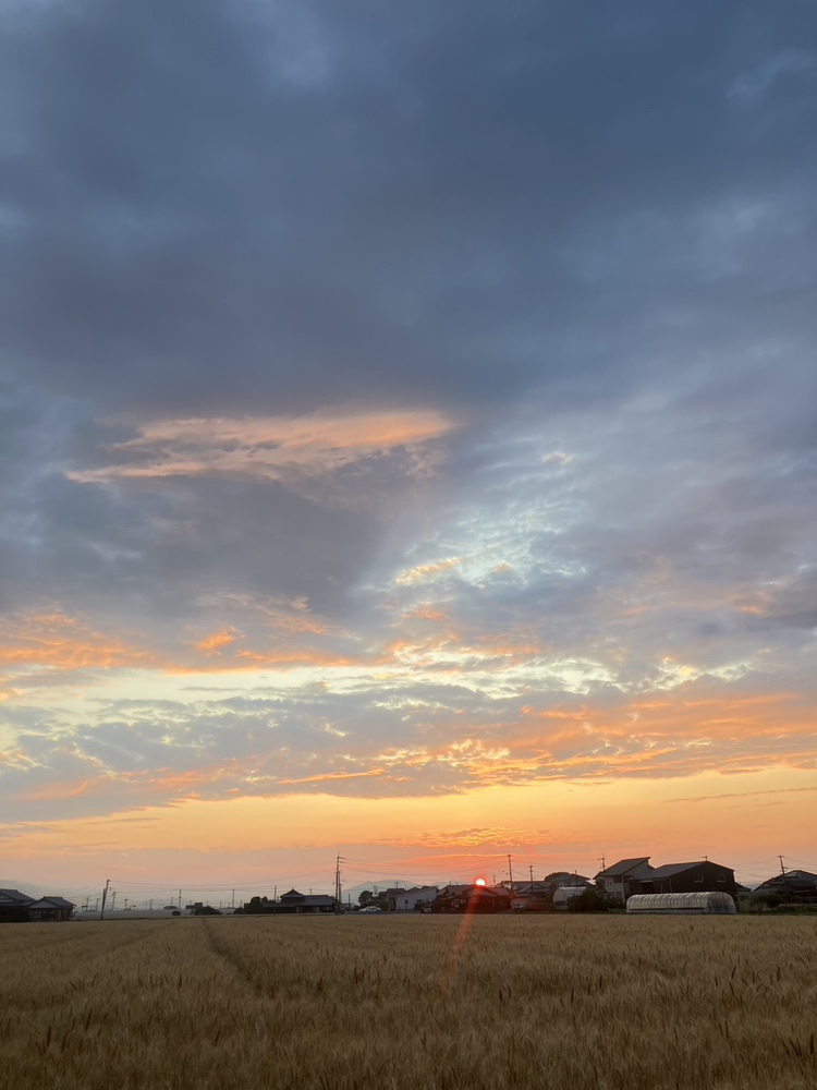 夕方の散歩